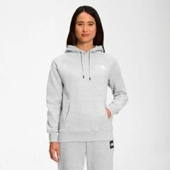 Women's The North Face Box NSE Pullover Hoodie TNF Light Grey Heather/TNF Black - NF0A7UON 050